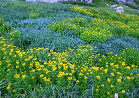 87_Crestone-Peak-climb-13_06-2