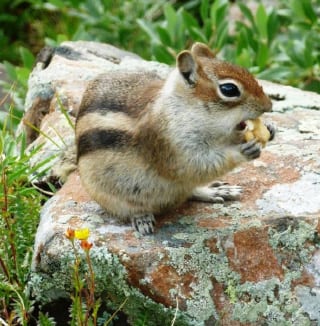 87_Crestone-Peak-climb-3_09-3