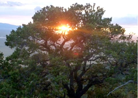 90_Little-Bear-Peak-Climb-final-18_11-3