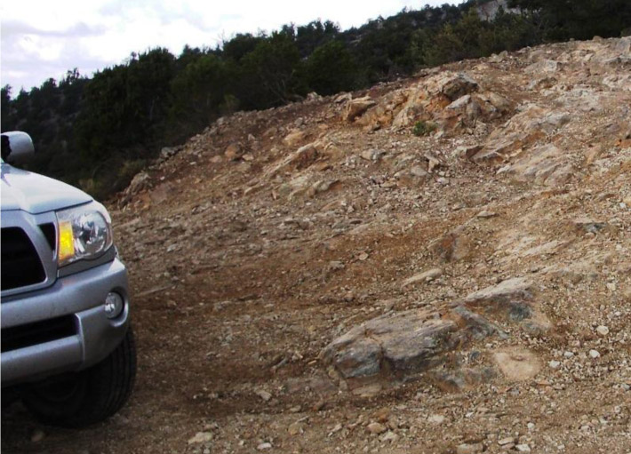 Little Bear Peak in a Snowstorm – and a Real Bear