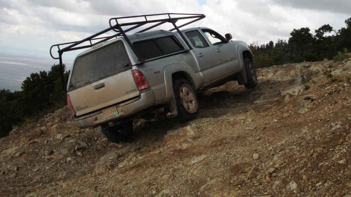 Little Bear Peak in a Snowstorm – and a Real Bear